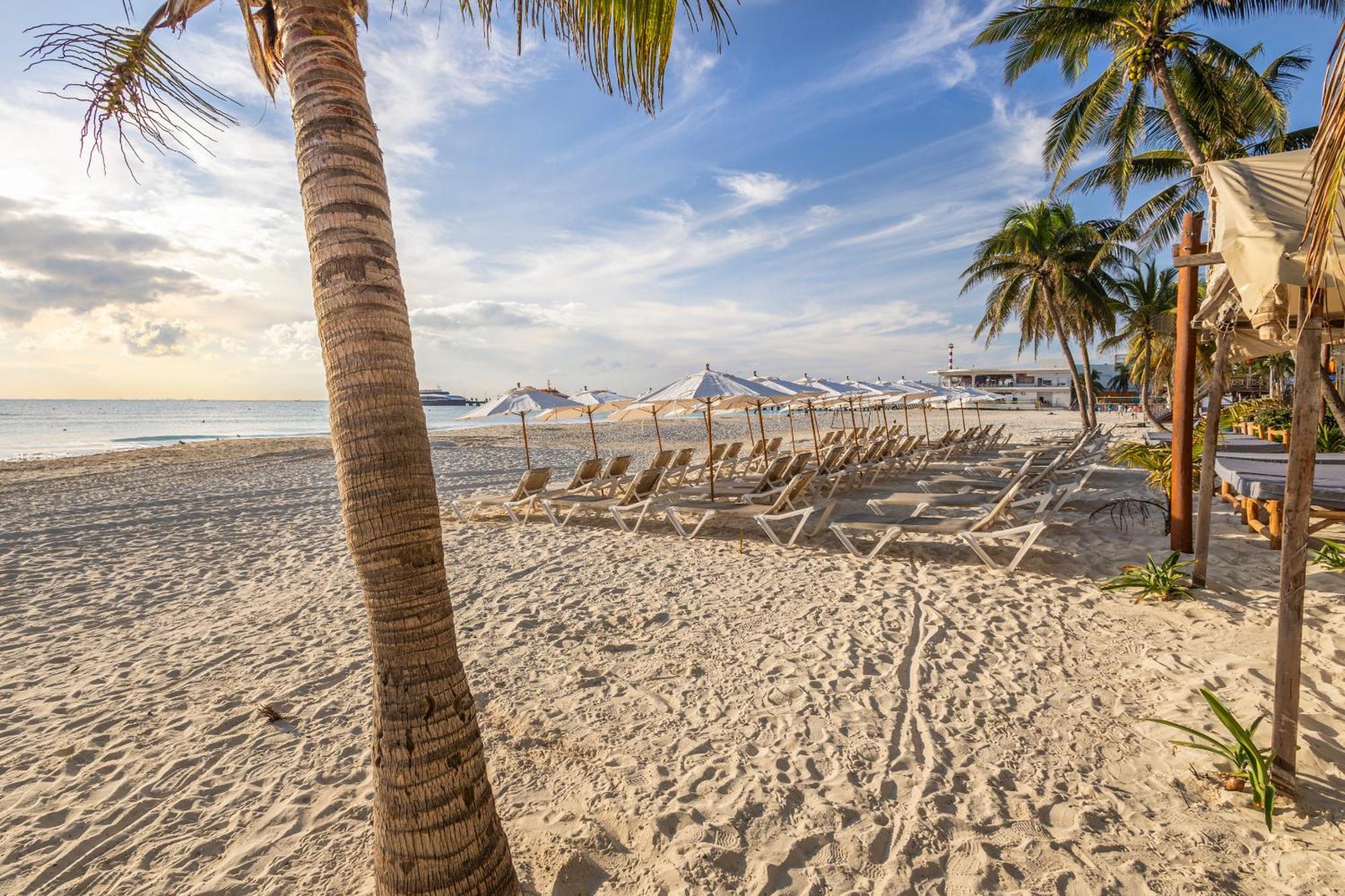 Areia Playa Del Carmen - Beach Front Hotel المظهر الخارجي الصورة