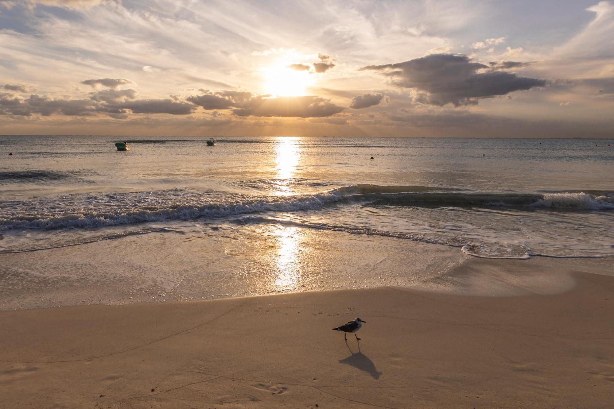 Areia Playa Del Carmen - Beach Front Hotel المظهر الخارجي الصورة